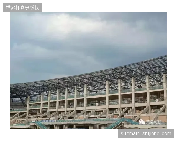 场馆改扩建盲目跟风已致行业内近三成运营资产陷入沉没状态 场馆改扩建盲目跟风已致行业内近三成运营资产陷入沉没状态